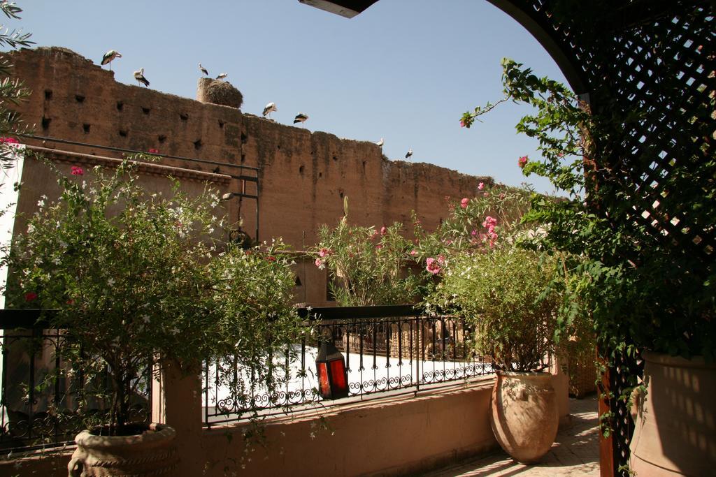 Riad Carina Marrakesh Eksteriør bilde