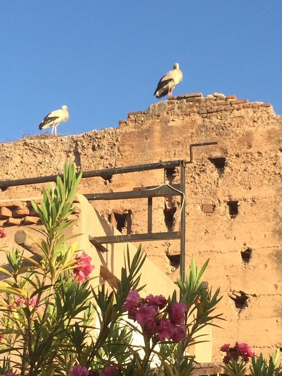 Riad Carina Marrakesh Eksteriør bilde